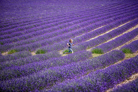 Running in Lavender