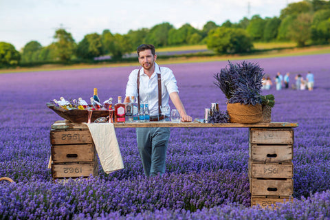 Lavender cocktails