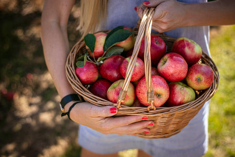 PYO Castle Farm Apples