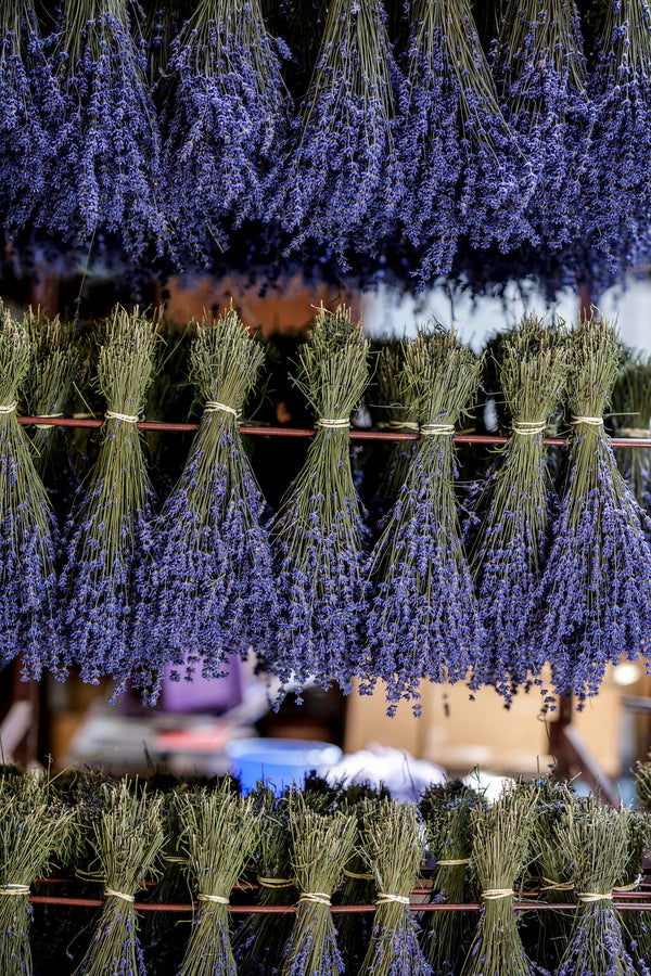 DRIED LAVENDER BUNCH - Castle Farm Shop