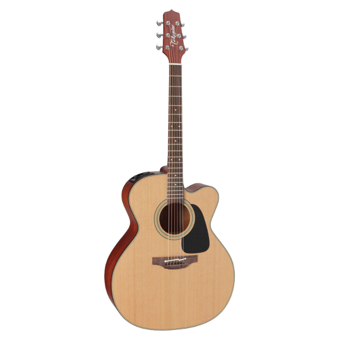 takamine 100 series