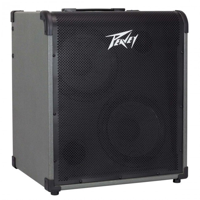 peavey amp combo