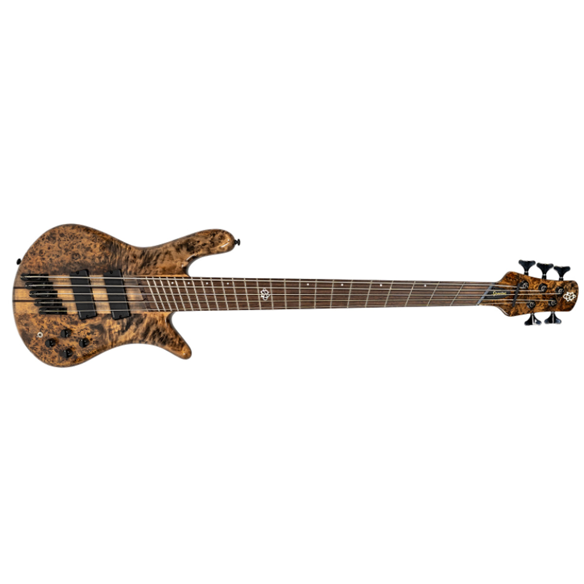 spector multiscale