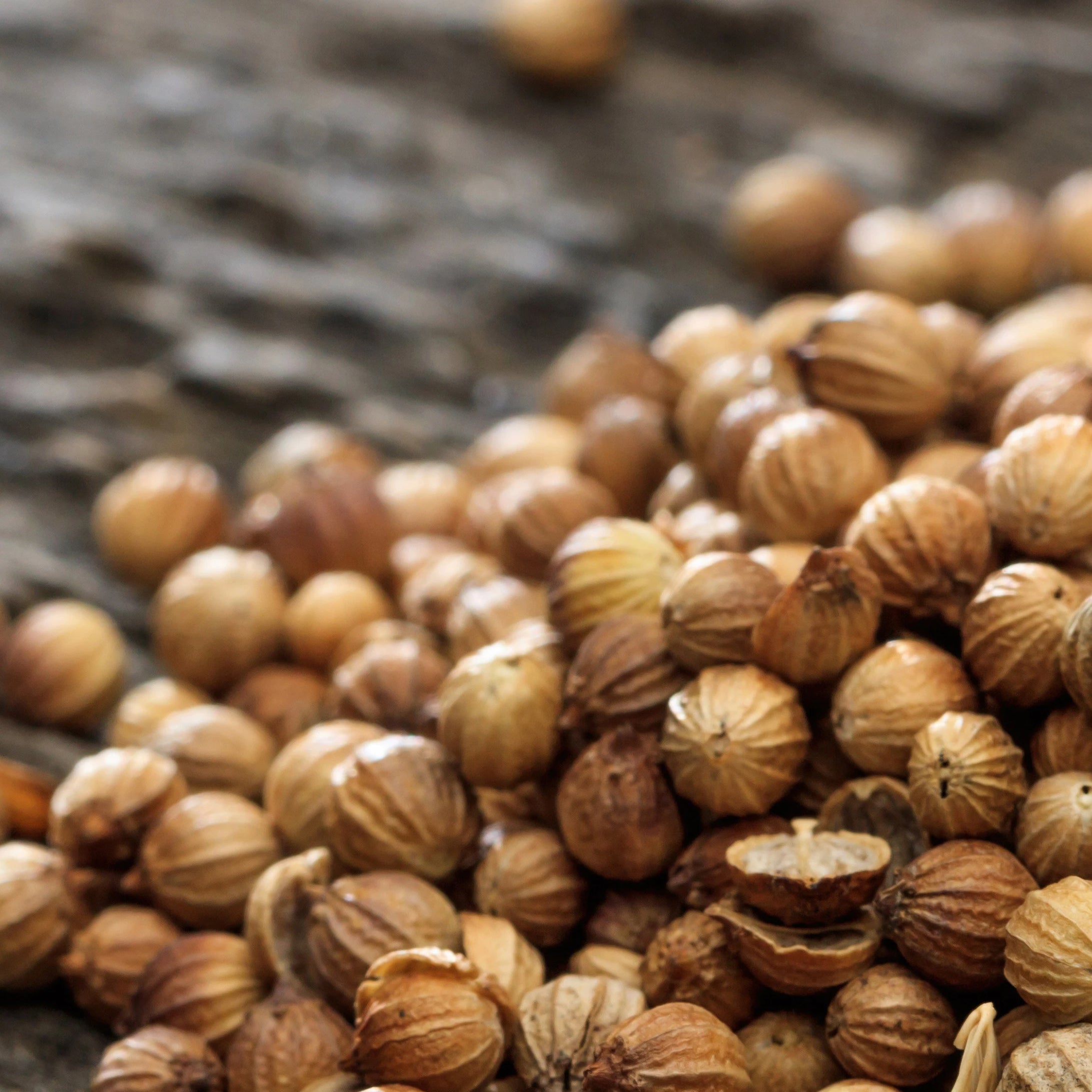 Coriander Oil used in Shaving and Other Hair Products