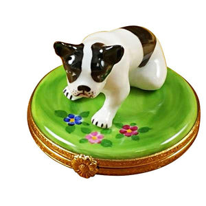 Rochard "Boston Terrier" Limoges Box