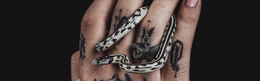 Snake & Snake Jewelry. A History, meaning, and symbolism