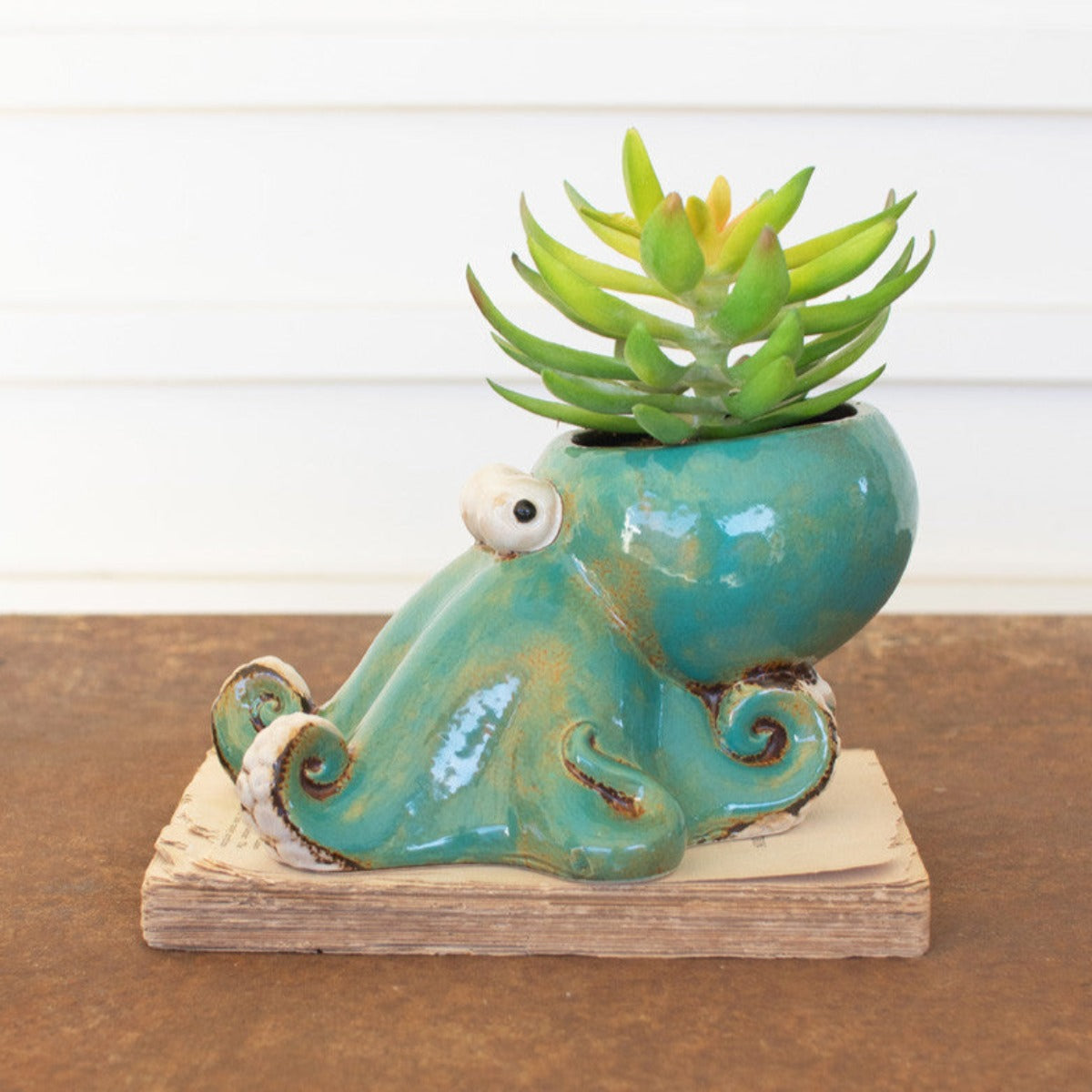Octopus Planters