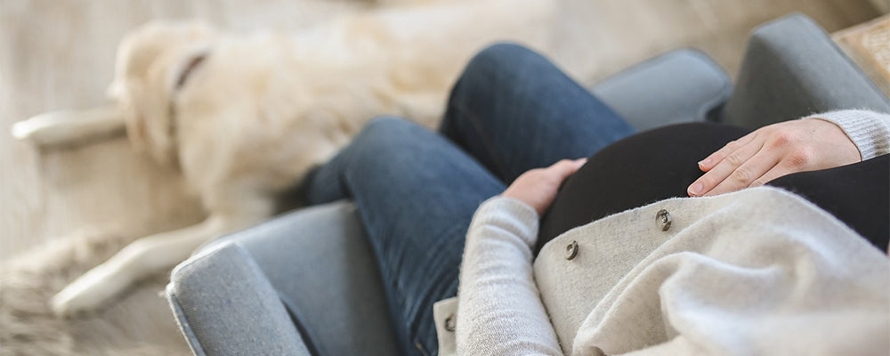 A pregnant woman sat on the sofa holding her bump with a dog laid on the floor in front of her