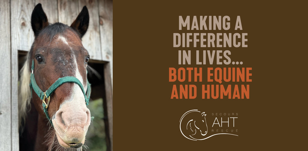 A Horse Tale - rescue, rehabilitate, rehome and/or retire horses in need