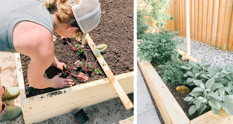 planting the garden