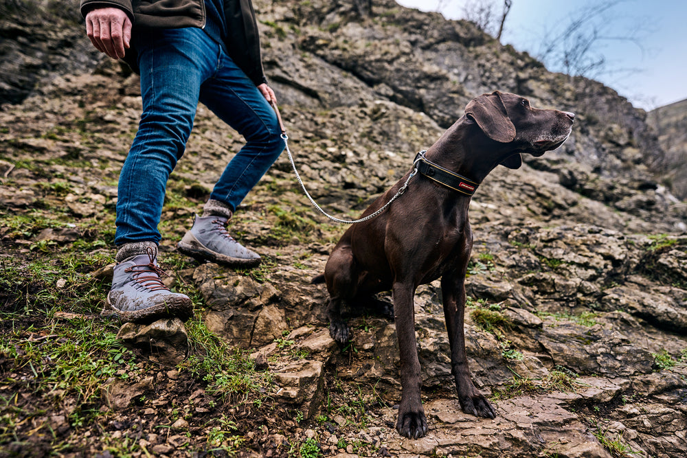 Outscape Boot with dog on different terrain