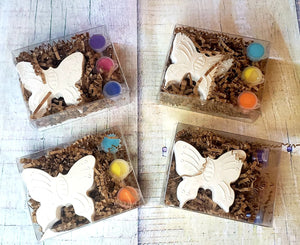 Butterfly Paint Your Own Kit - The Byrd's Nest Children's Boutique