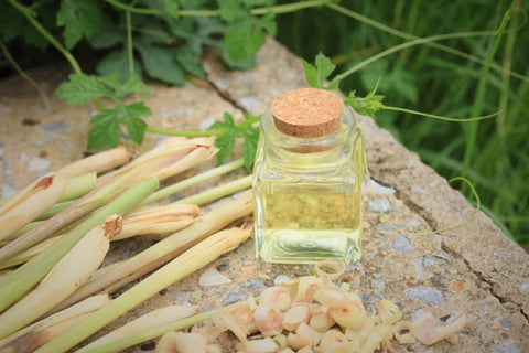 Citronella Oil