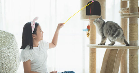  Cat on a cat tower playing with a fishing rod toy.