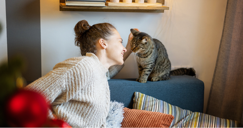 A woman stroking her cat who is sat on the backrest of a chair