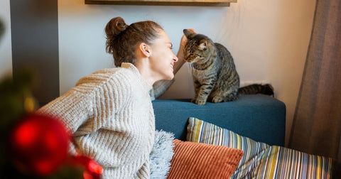  A woman stroking her cat who is sat on the backrest of a chair