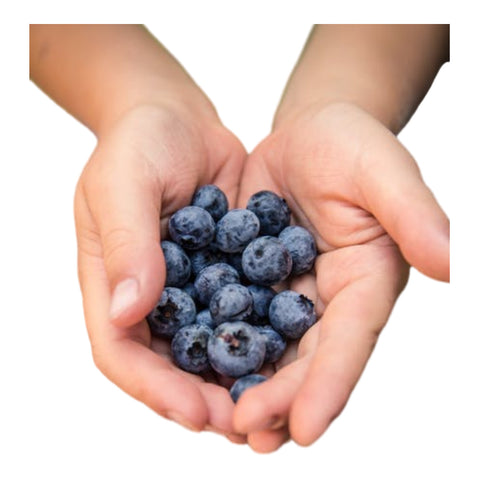 Blueberries - The Post-Workout Superfood Secret