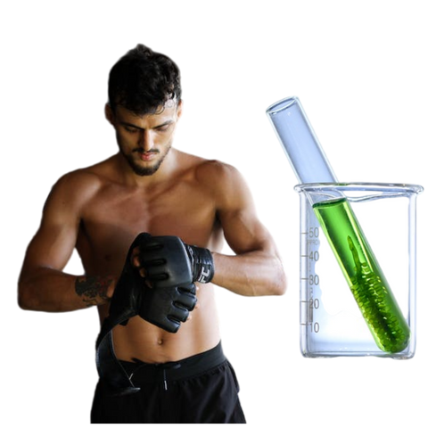 Unlock Your Fitness Potential with Chlorella Growth Factor (CGF)