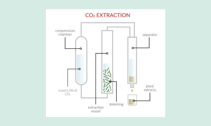 CO2 Extraction of CBD