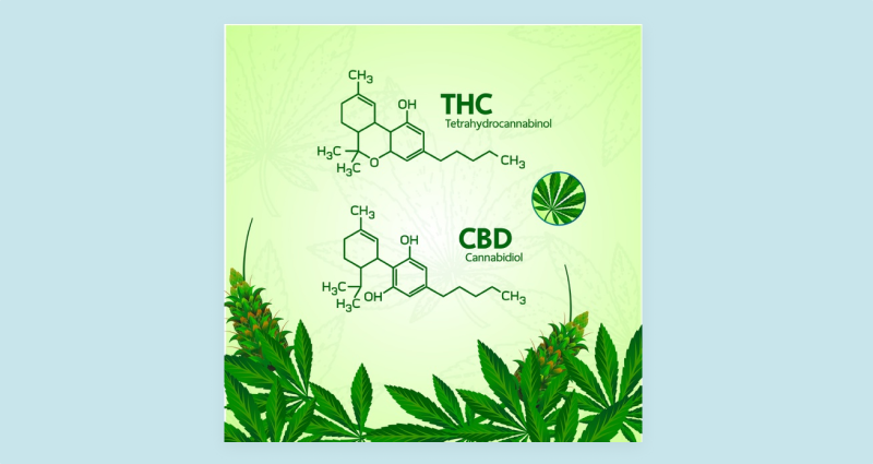 What is THC?