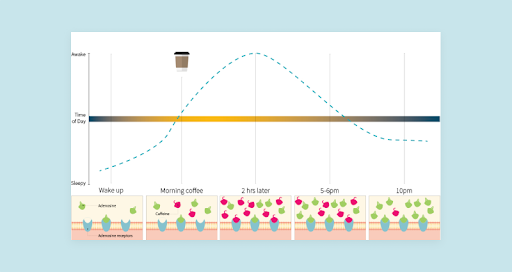 How does caffeine work? 