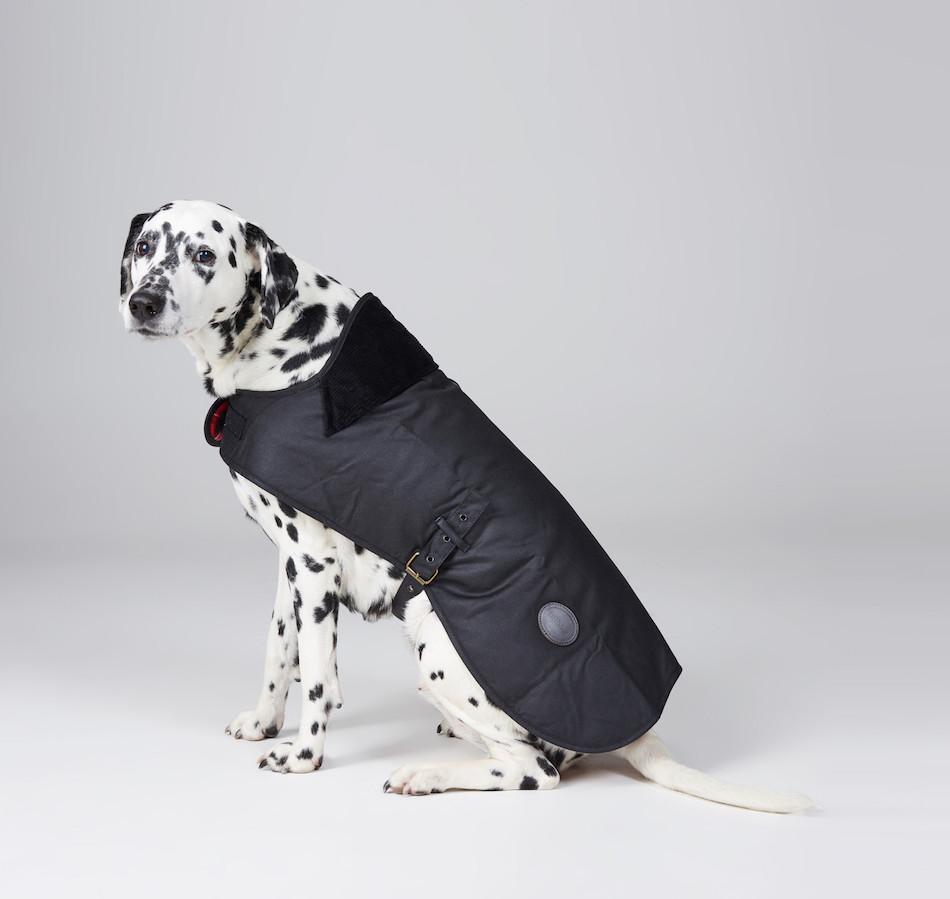 barbour waxed cotton dog jacket