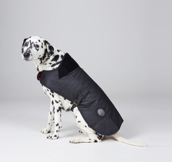 barbour land rover wax dog coat sand