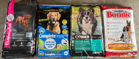 Choosing Best Dog Foods