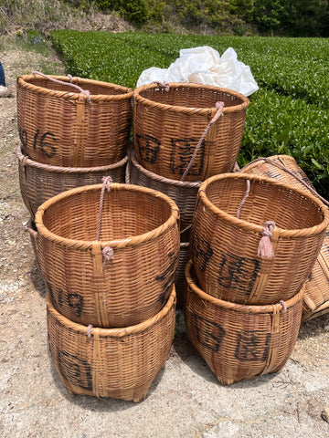 Tea picking baskets in Japan