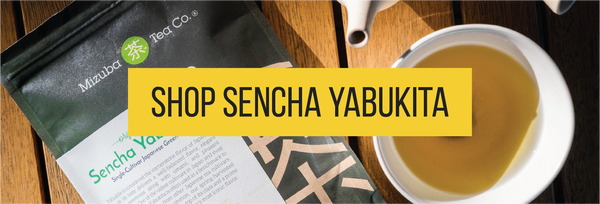 Shop sencha yabukita