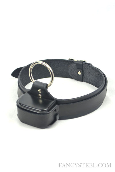 New design Leather electric shock training collar – Fancy Steel