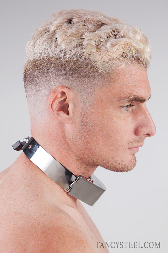 advanced-steel-shock-training-collar-fancy-steel