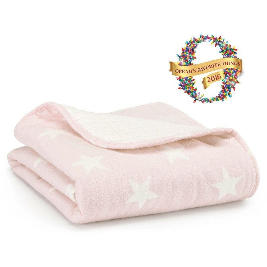 aden and anais flannel muslin blanket