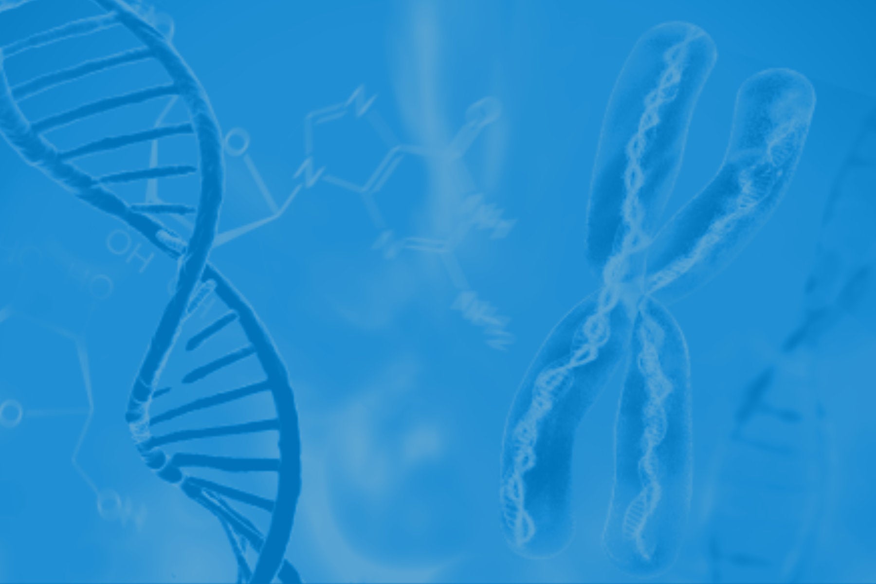 what-is-methylation-troscriptions