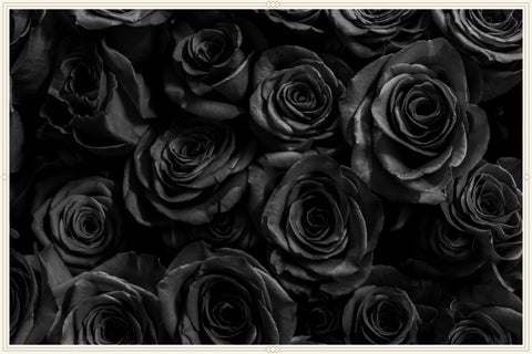 "Black rose meaning: Signifies death, farewell, and the end of something."