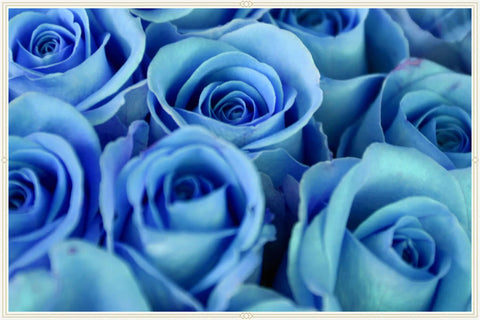 "Blue rose meaning: Symbolizes mystery, the unattainable, and the impossible."