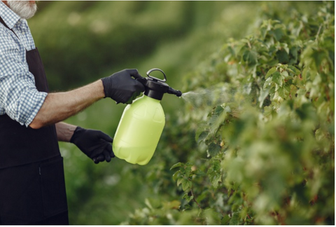 Veggie Wash Spray