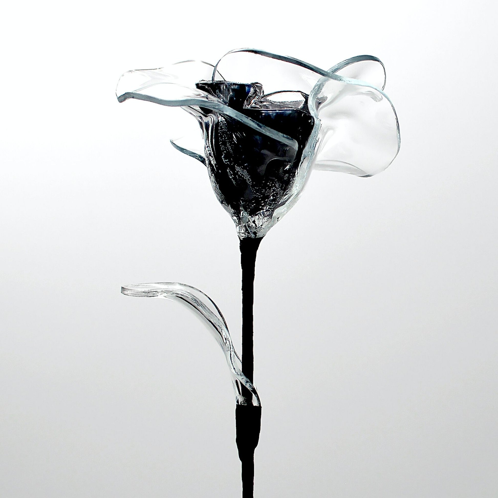 Rose éternelle noire – Rosabstrait | Fleur lumineuse