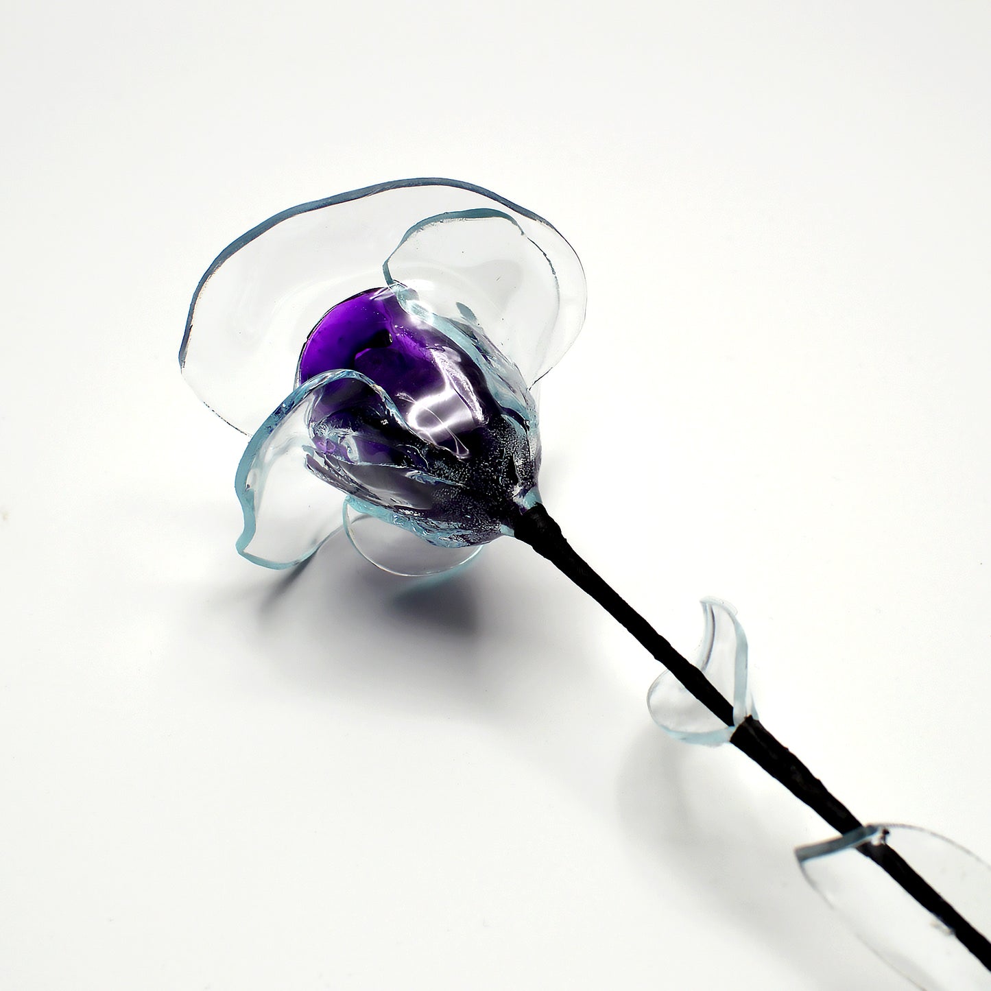 Rose éternelle violette – Rosabstrait | Fleur lumineuse