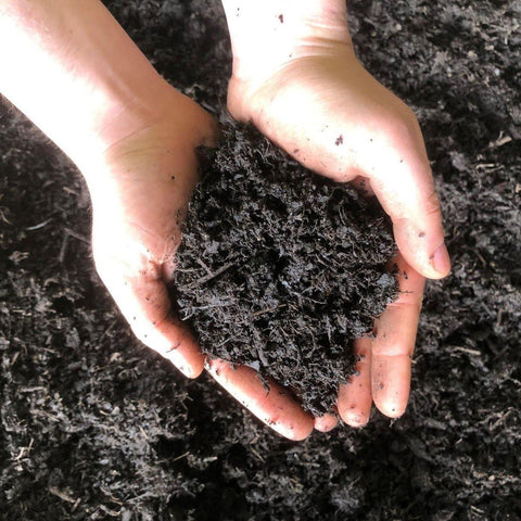 peat-free-compost-in-hands