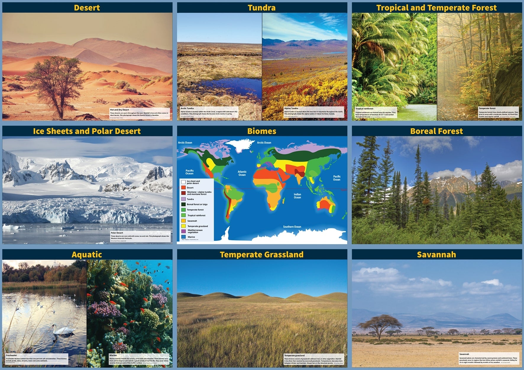 Biomes Display Set - 9 Laminated A3 Panels – Southern Cross Educational