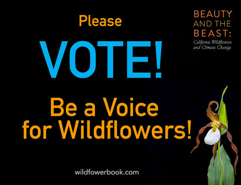 Please Vote Be a Voice for Wildflowers with beautiful white and brown mountain lady slipper wildflower