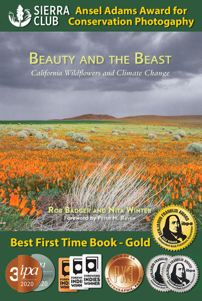 10 book award medals for Beauty and the Beast: California Wildflowers and Climate Change