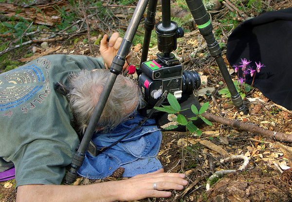 Rob Badger photographing calypso orchid wildflowers in Mount Tamalpais State Park, California. Set up photo.