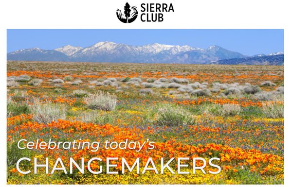 Sierra Club's Awards Antelope Valley Poppy  Reserve by Rob Badger