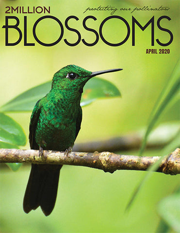 2 Million Blossoms Magazine cover 