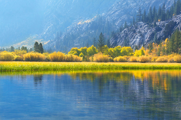 CNPS Flora Magazine: Fall foliage at June Lake by Rob Badger