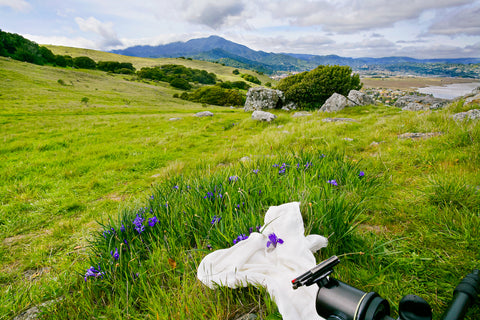 Set up to photograph ground iris wrapped in chiffon, Ring Mountain Open Space Preserve