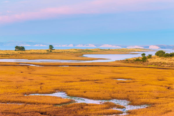 Limantour Lagoon at Point Reyes National Seashore at sunrise.