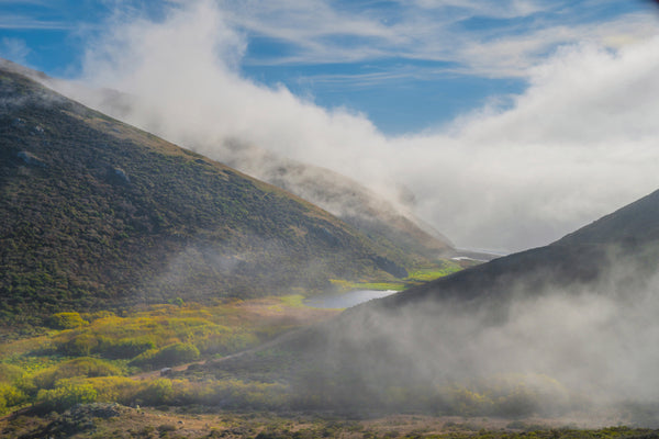 Fog flows into lower Tennessee Valley as seen from the Coastal Trail at the Golden Gate National Recreation Area.